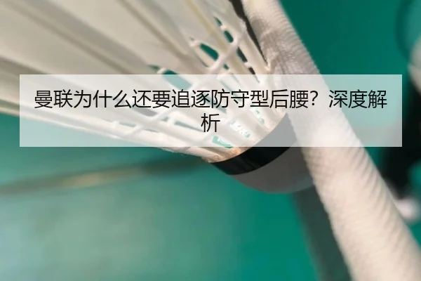 曼联为什么还要追逐防守型后腰？深度解析